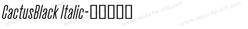 CactusBlack Italic字体转换
